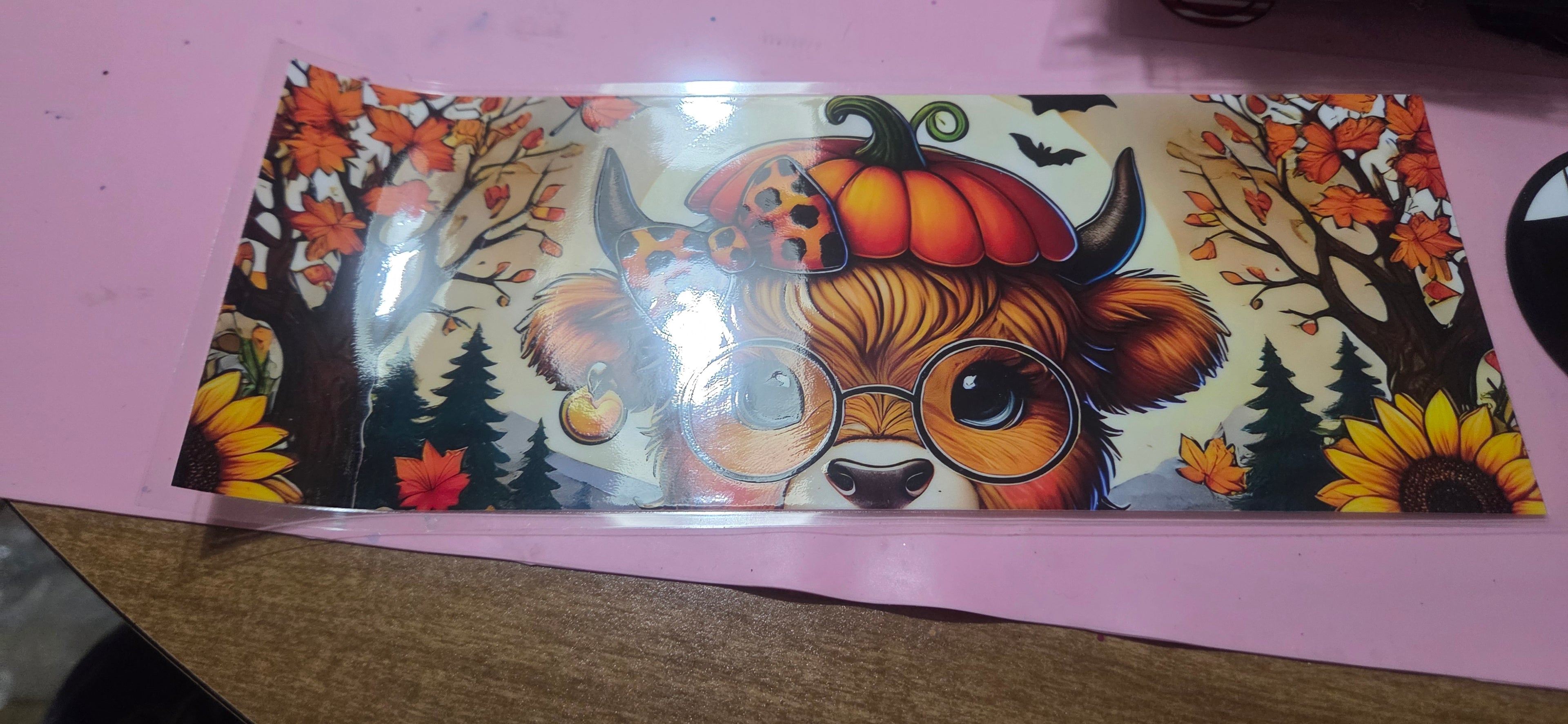 Decals